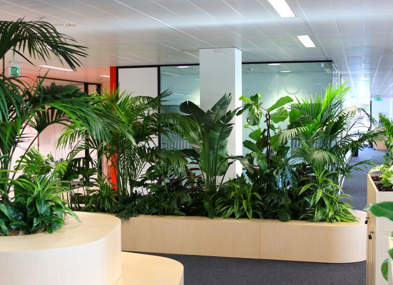 Zuru - Long term hire project