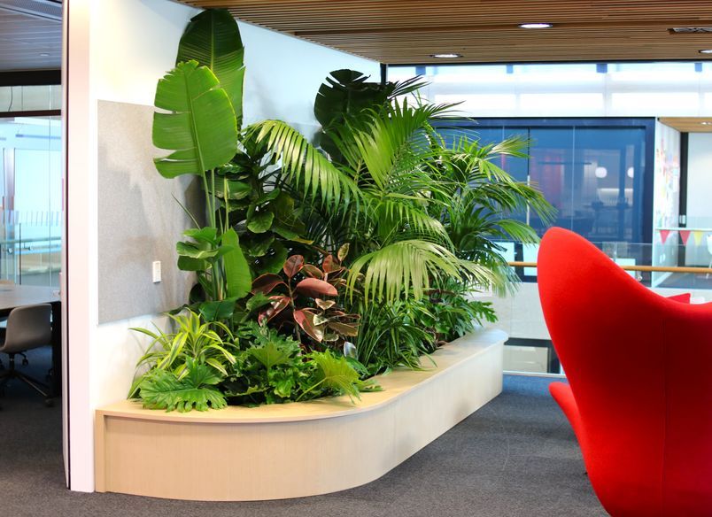 Zuru - Long term hire project