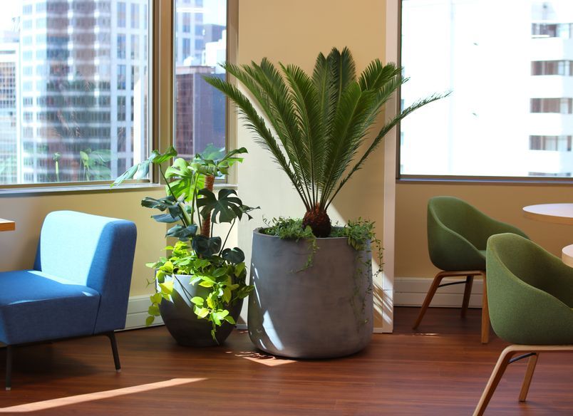 Salesforce - Long term hire project