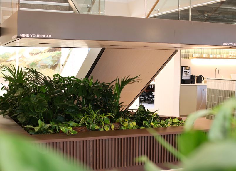 Baker Tilly - Long term hire project