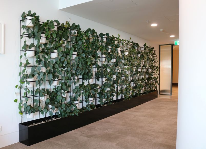 Val Morgan - Long term hire project