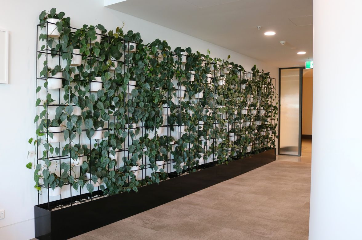 Val Morgan - Long term hire project