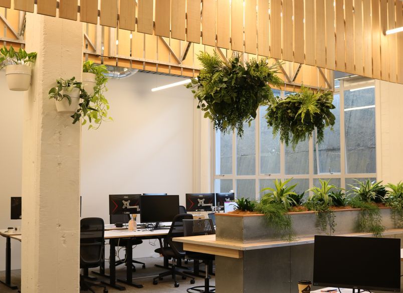 Ruminant Biotech - Long term hire project