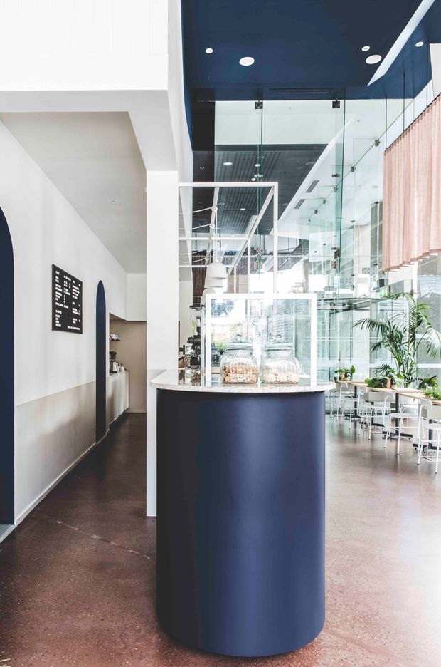 Bright contemporary commercial café or hospitality interior viewed from the entry area. A deep navy-blue curved service counter with a pale stone benchtop and glass display case dominates the foreground. The space features polished reddish-brown concrete flooring, white walls and columns, dark navy ceiling panels, extensive internal glass partitions, pendant lighting, and a dining area with white tables and chairs beside large glazed windows and indoor plants.
