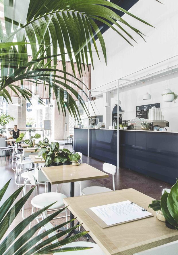 Bright, spacious contemporary café interior with a long dark counter, white pendant lights, light timber tables, white chairs, abundant tropical plants, and large glazed windows. The high ceiling and open arrangement create an airy hospitality setting with a clean, modern fit-out.