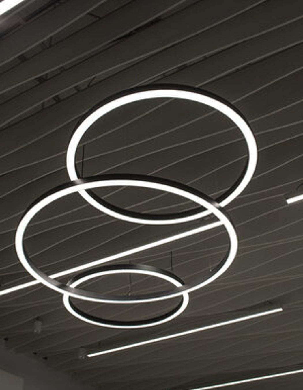 Westhaven Marina Office Fitout