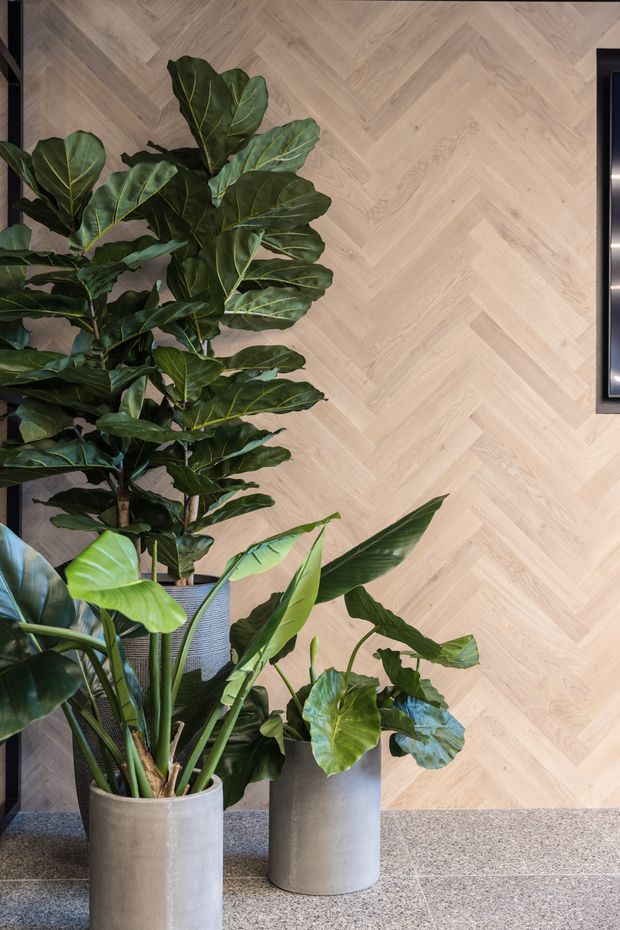A close-up interior vignette featuring lush potted tropical plants arranged against a pale natural timber herringbone feature wall. Large cylindrical planters sit on a speckled grey terrazzo floor, with dark vertical joinery or framing visible at the edges and a partial wall-mounted black-framed screen or artwork on the right.