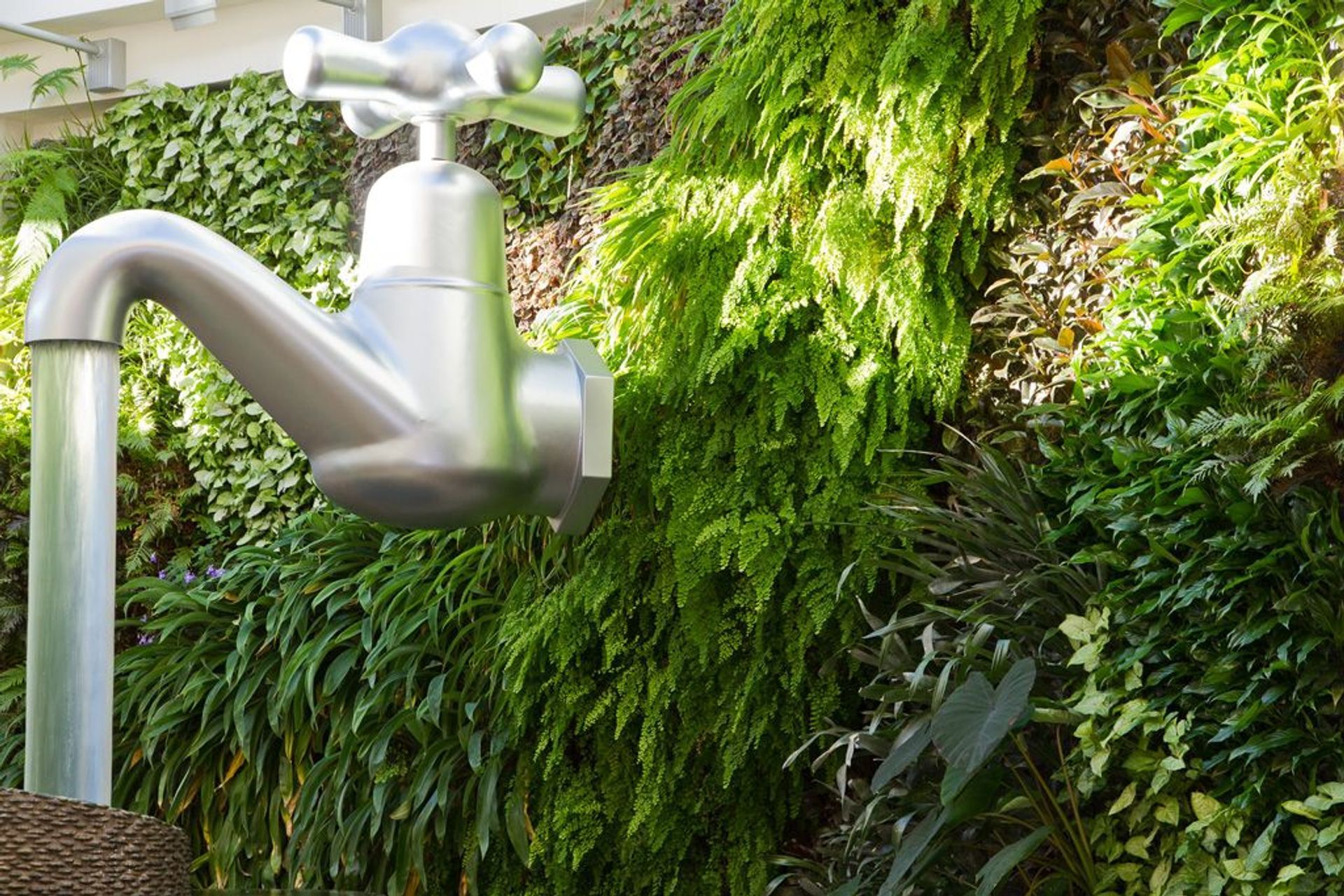 Puzzling World Green Wall