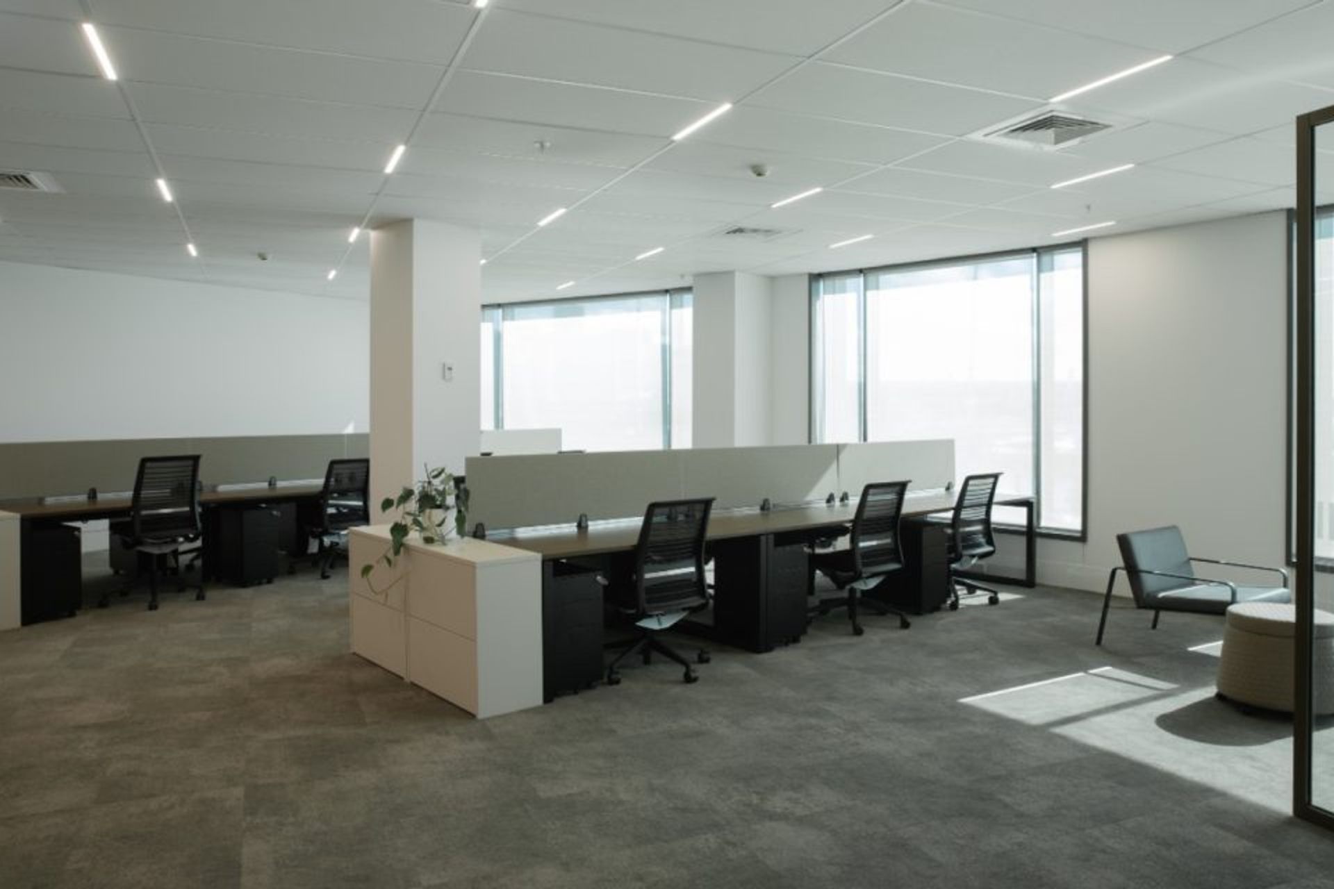 Auckland Real Estate