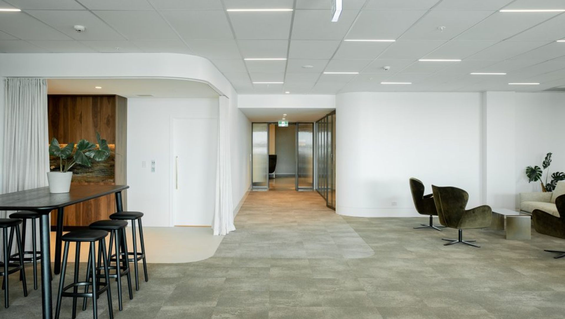 Auckland Real Estate banner