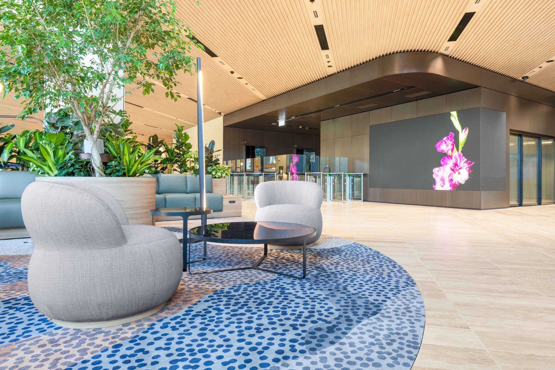 Photographer: Lynchypx Photography and Elliot Cohen