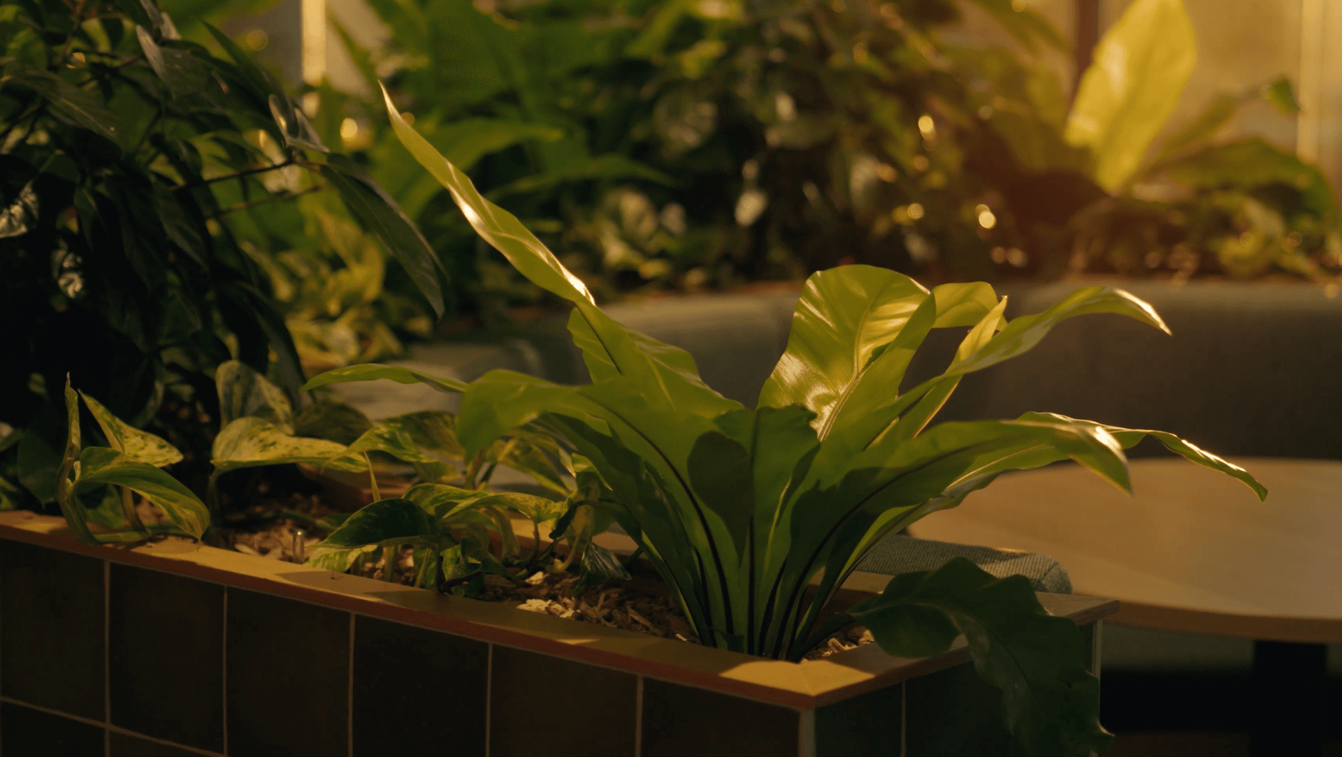 The Warehouse Group banner