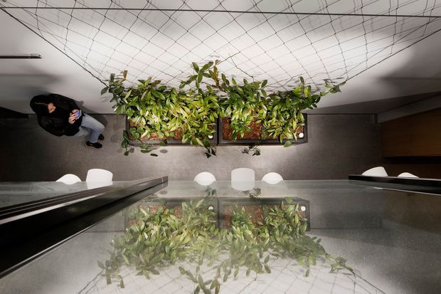 Overhead view of a contemporary dining or communal interior, centered on a long rectangular planter filled with trailing green plants beneath a tensioned geometric wire ceiling installation. A reflective glass or polished surface in the foreground mirrors the planting and ceiling pattern, with white dining chairs and dark built-in surfaces around the space. The image has a cool, refined, architectural atmosphere.