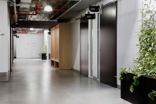 A modern commercial interior corridor with polished grey concrete flooring, dark flush doors, light grey walls, timber built-in joinery, exposed ceiling services and ductwork, directional room signage, and large black planters with greenery. The space has an open, utilitarian office or institutional character with industrial detailing.