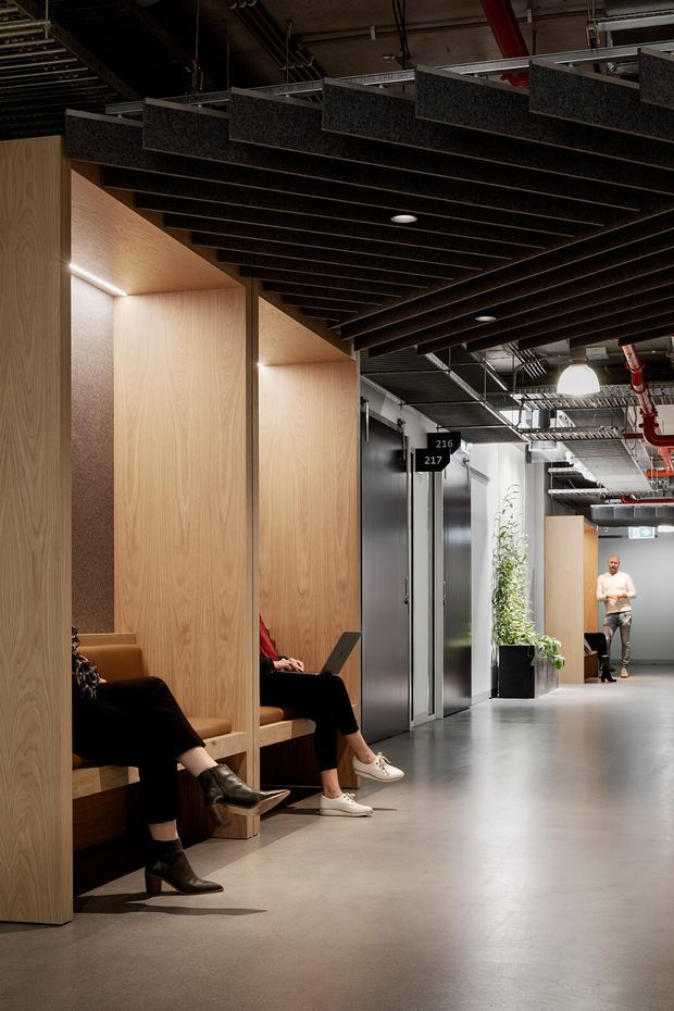 A contemporary commercial interior showing an open office corridor and waiting area. Built-in light timber seating alcoves line the left side, while grey elevator or service doors, exposed building services, black acoustic ceiling baffles, and polished concrete flooring define the corridor. Indoor planting and people provide scale.