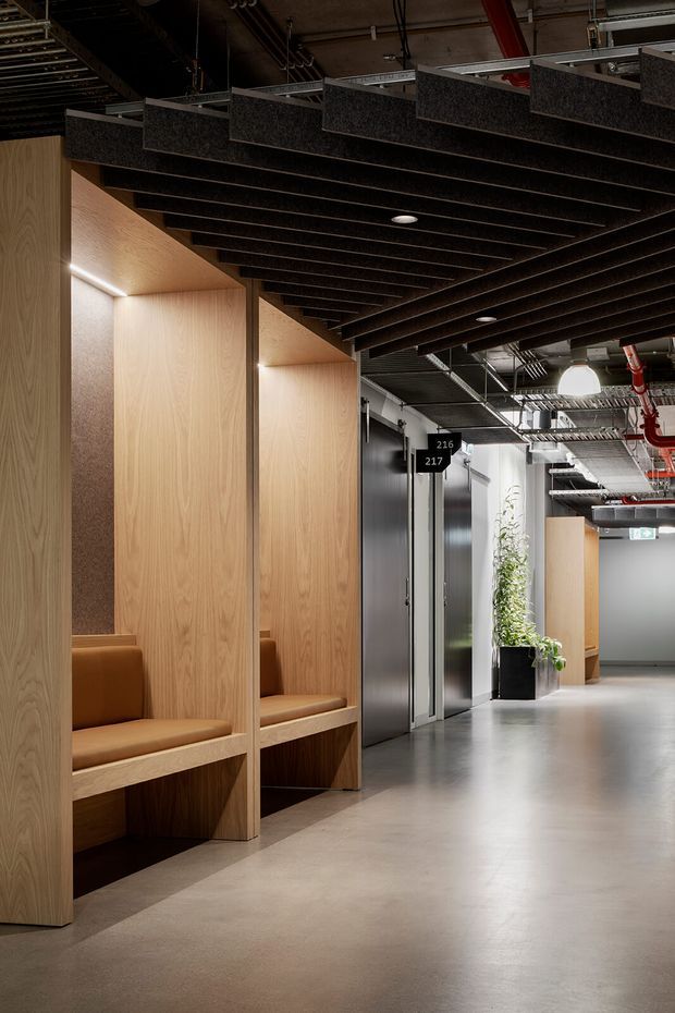 A contemporary commercial interior corridor with built-in timber seating alcoves along one wall, polished concrete flooring, dark suspended acoustic ceiling fins, exposed services, metal lift or service doors, and industrial-style lighting and fire-sprinkler infrastructure. The space combines warm light-oak joinery with a grey, utilitarian circulation zone and planted feature.