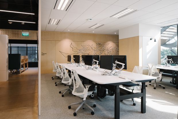 A bright contemporary open-plan office with rows of white desks, computer monitors, ergonomic mesh task chairs, and integrated cable management. The space features light timber wall panelling with a botanical line-art mural, a perforated timber acoustic wall section, exposed black ceiling areas with linear lighting, white acoustic ceiling panels, carpet flooring, and large glazed windows bringing in daylight. A secondary workspace or meeting area is visible through the opening on the left.