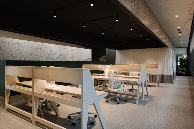 A contemporary open-plan office interior with rows of light timber workstations, ergonomic mesh office chairs, desk lamps, and integrated shelving. The space features a dark ceiling with recessed and track lighting, a pale carpeted floor, a geometric wall mural, acoustic patterned ceiling panels, and sheer curtains creating a bright glazed area at the rear.