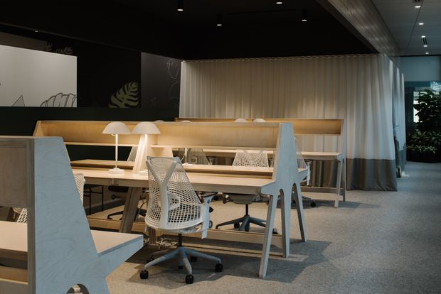 A contemporary open-plan office interior with shared workstations arranged around a long built-in timber desk and shelving unit. White mesh ergonomic office chairs, desk lamps, acoustic or privacy screens, sheer curtains, dark ceilings, and grey carpet create a refined, softly lit workspace. Indoor planting and additional work areas are visible in the background.
