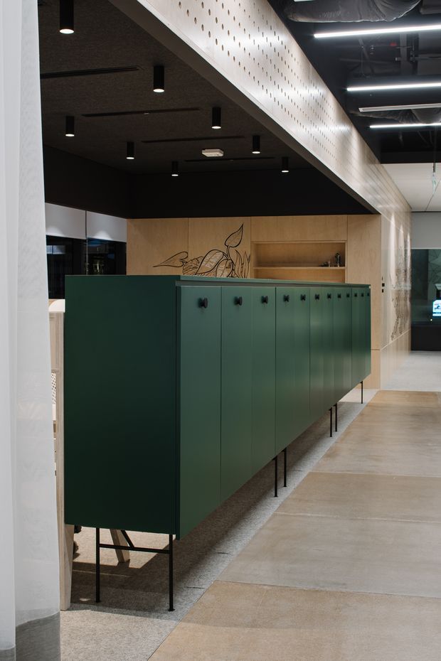 A contemporary commercial interior showing a long row of dark green locker-style built-in cabinetry on slender black legs. Behind it is a warm timber feature wall with a recessed display shelf and line-art botanical mural. The space has a black acoustic ceiling with recessed and linear lighting, exposed services, a perforated light-coloured bulkhead, polished concrete flooring, and glazed partitions in the background.