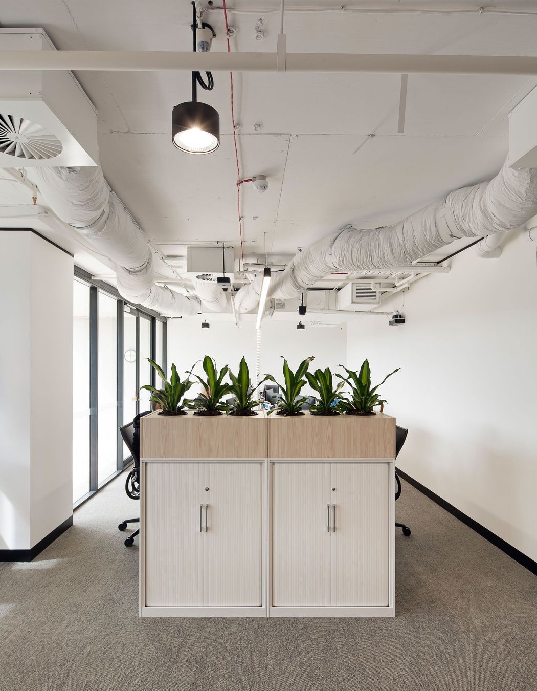 ZurichSydney-Office-Fitout10.jpg