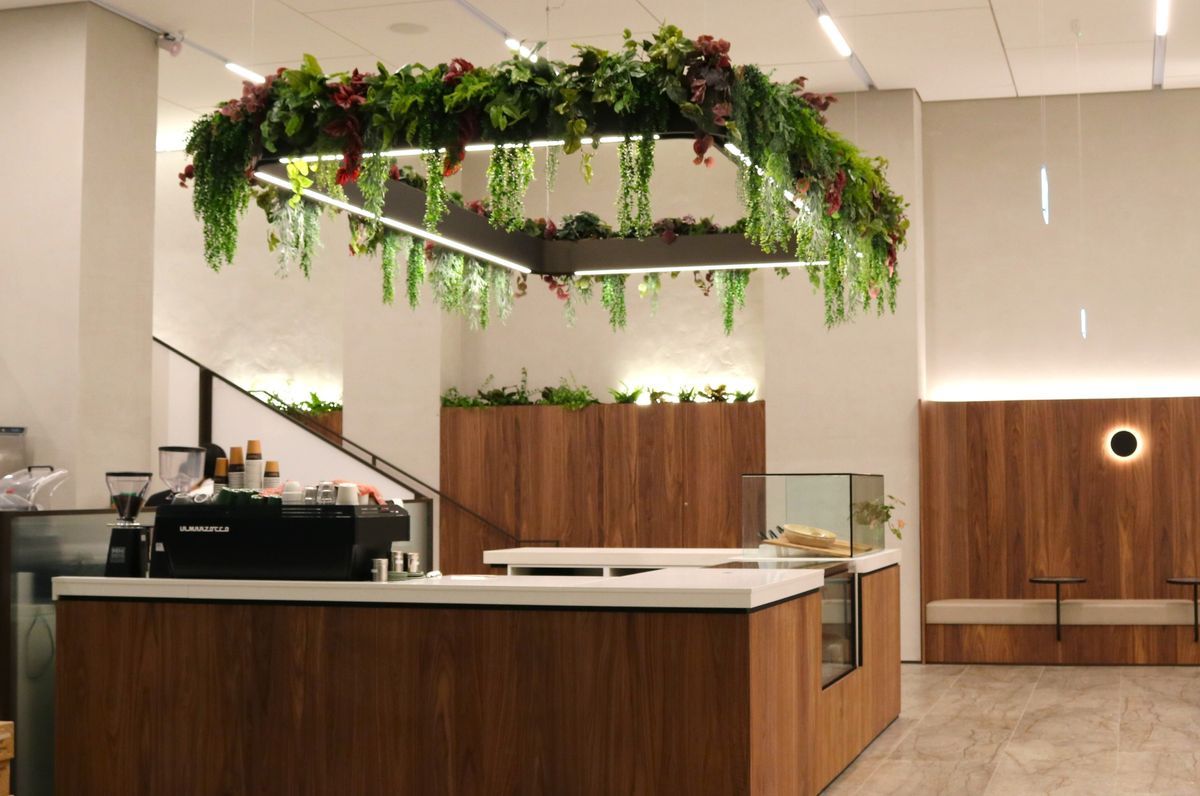 34 Shortland Street | Artificial planting project