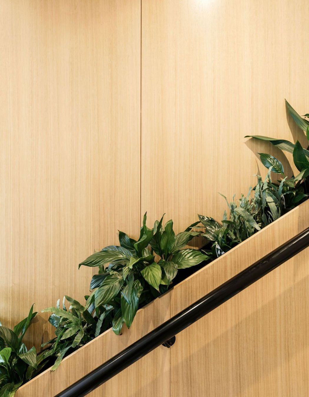 New Town Medical Suite