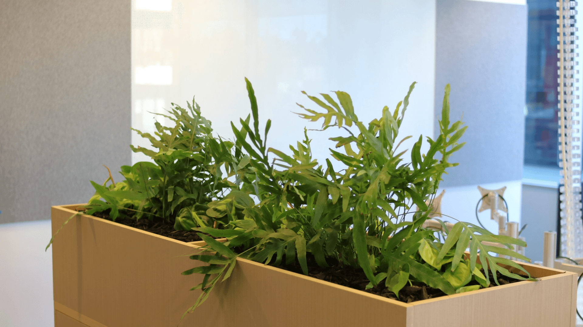  Zuru - Case Study video