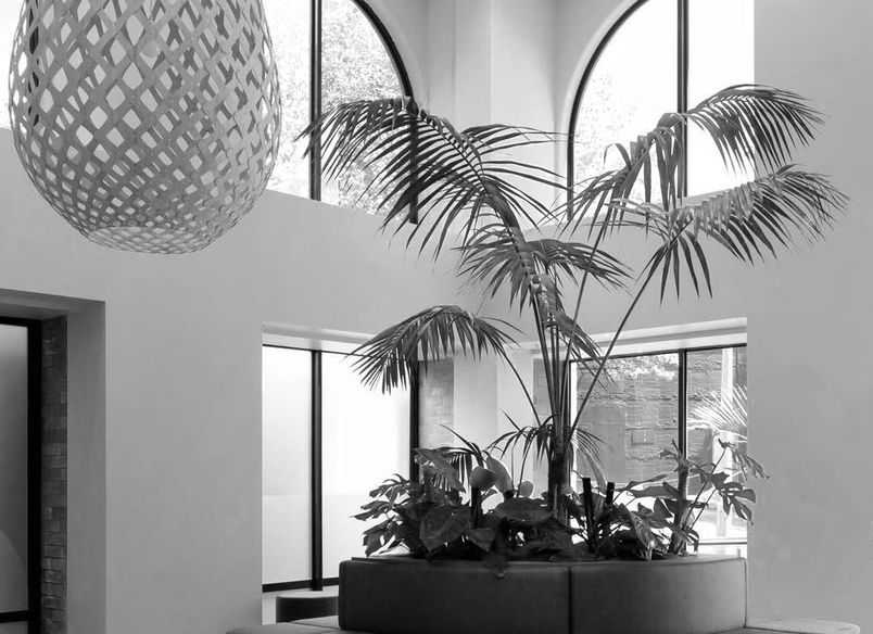 ARC Vet Hospital & Clinic