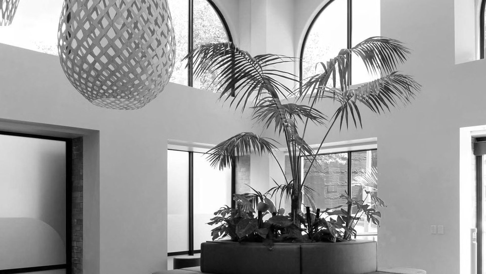 ARC Vet Hospital & Clinic banner