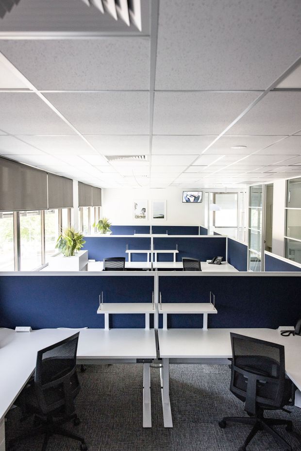 Bright open-plan office interior with rows of white shared desks, black ergonomic task chairs, navy-blue workstation partitions, grey carpet, roller blinds, and a suspended acoustic tile ceiling. Glazed meeting or office rooms are visible along the right side, with indoor plants and framed artwork adding limited decoration.