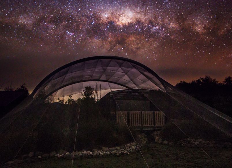 Pukaka/Mount Bruce National Wildlife Centre