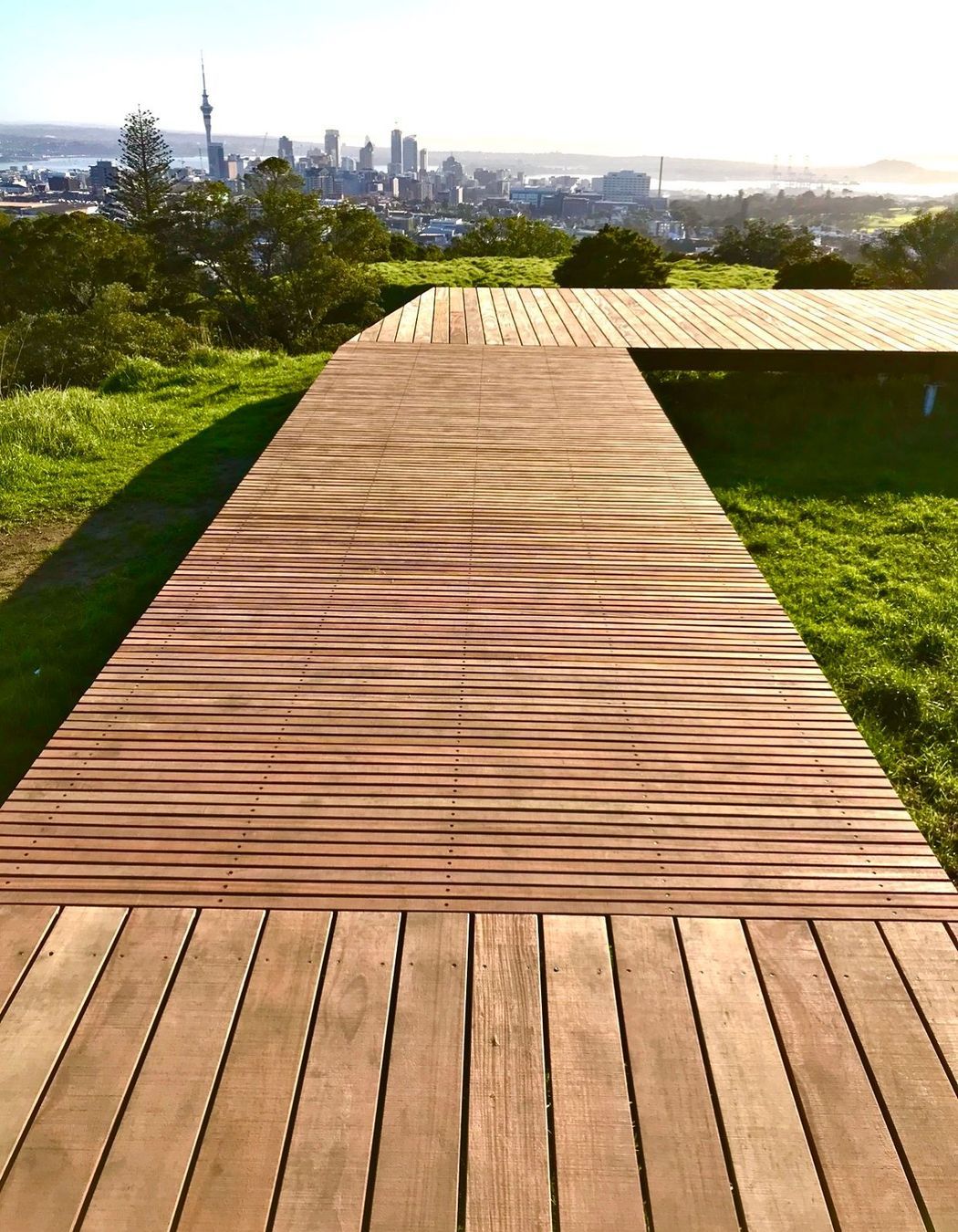 Maungawhau / Mt Eden Boardwalk
