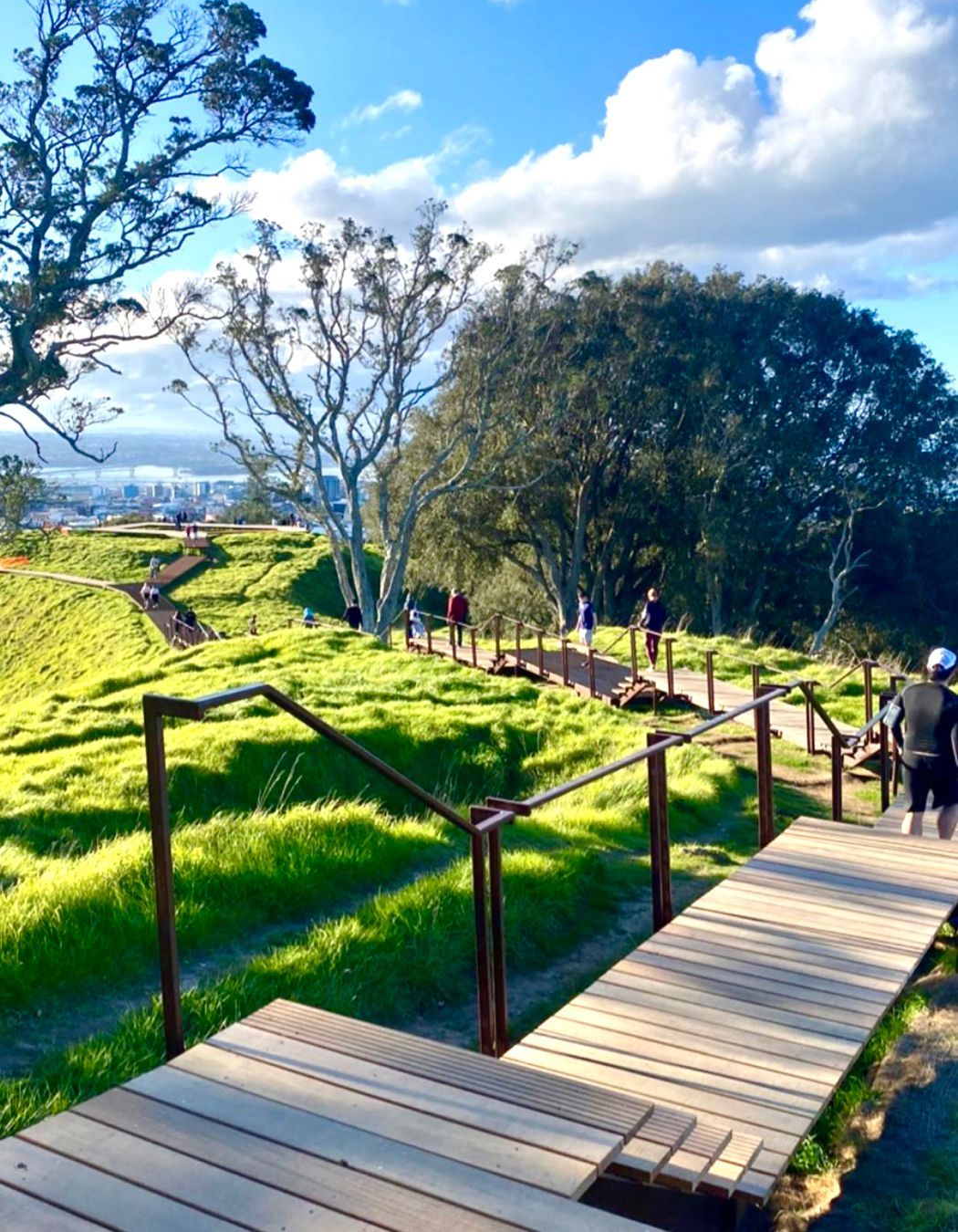 Maungawhau / Mt Eden Boardwalk