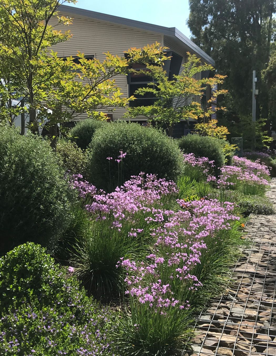 ##^^Purple Church, Commercial Project In Yarra Valley