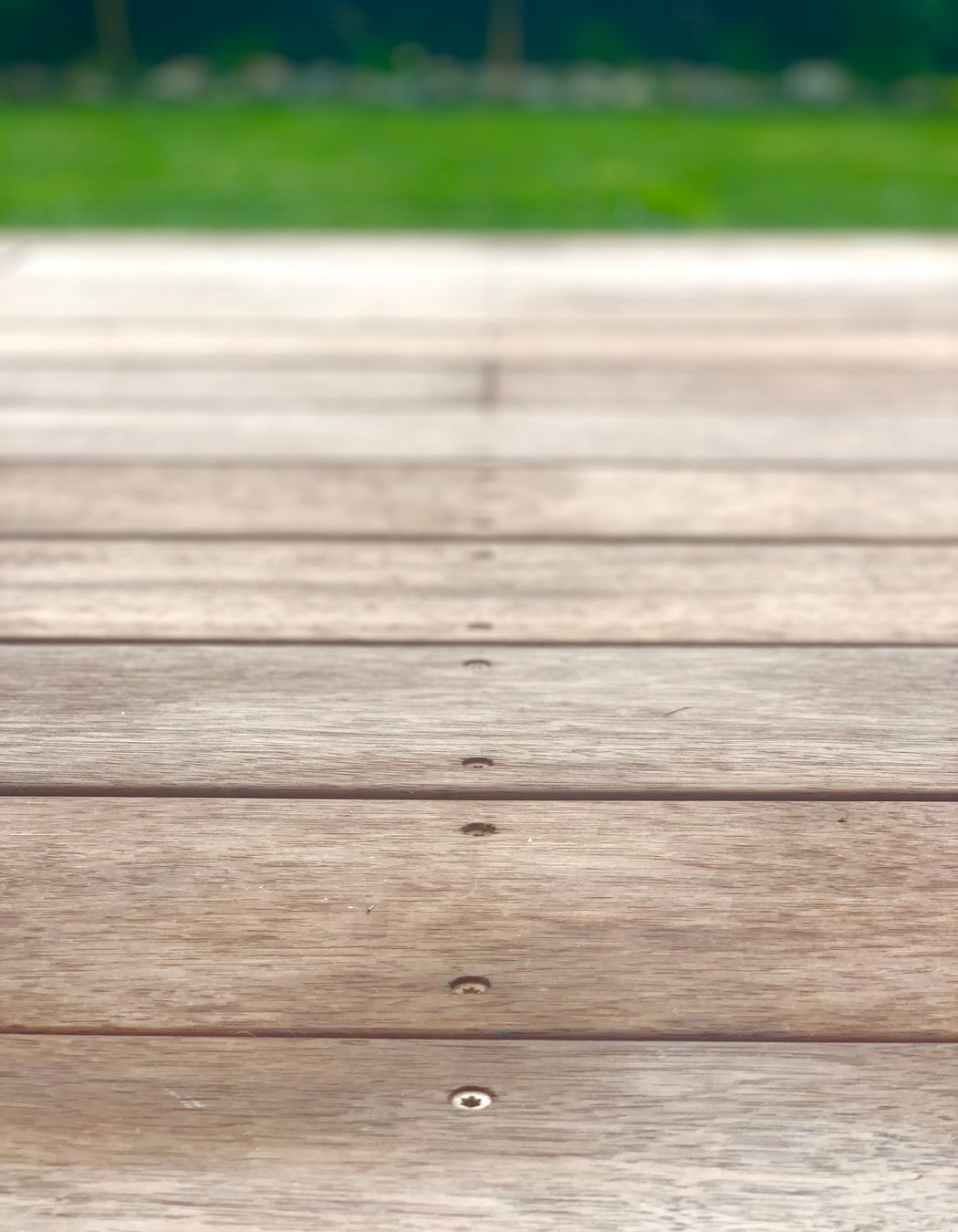 Maungawhau / Mt Eden Boardwalk