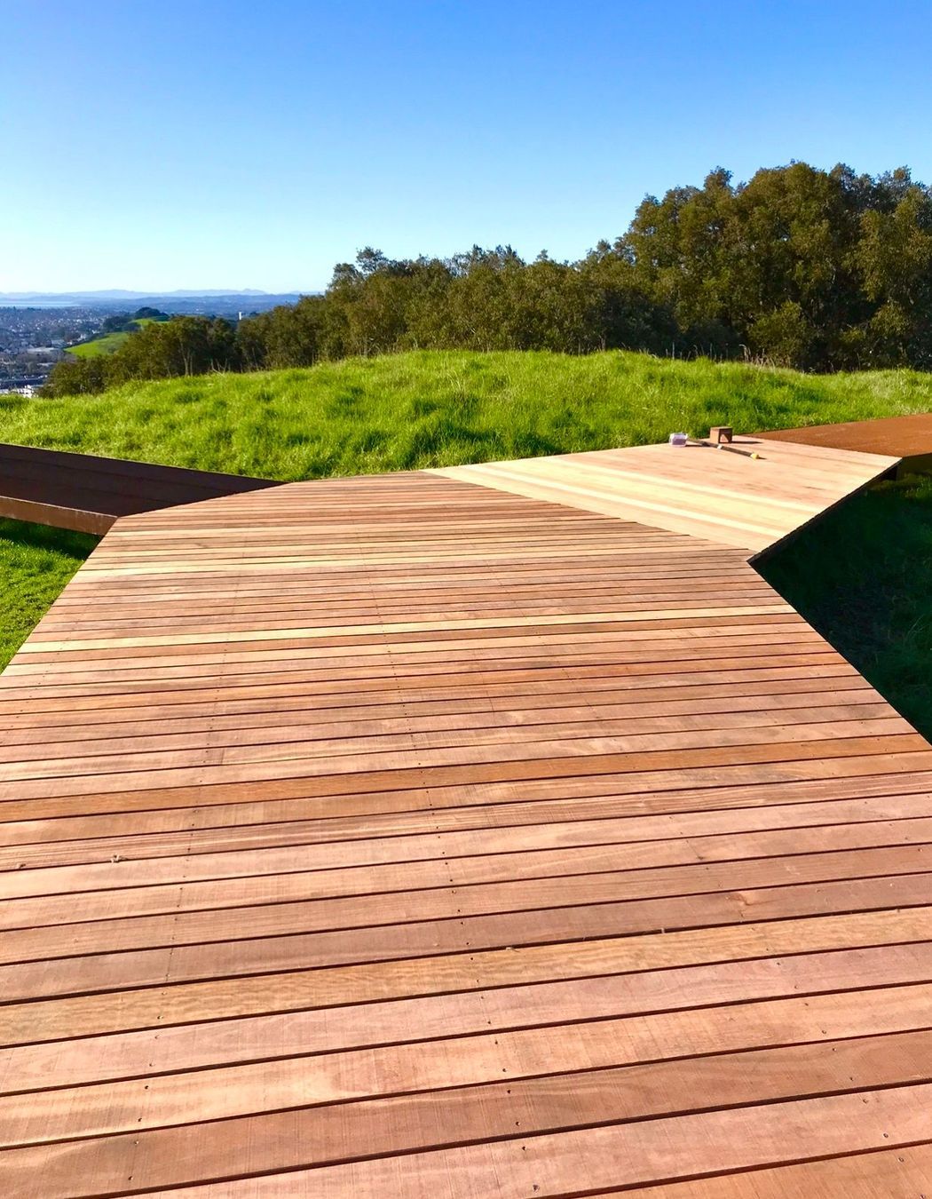 Maungawhau / Mt Eden Boardwalk