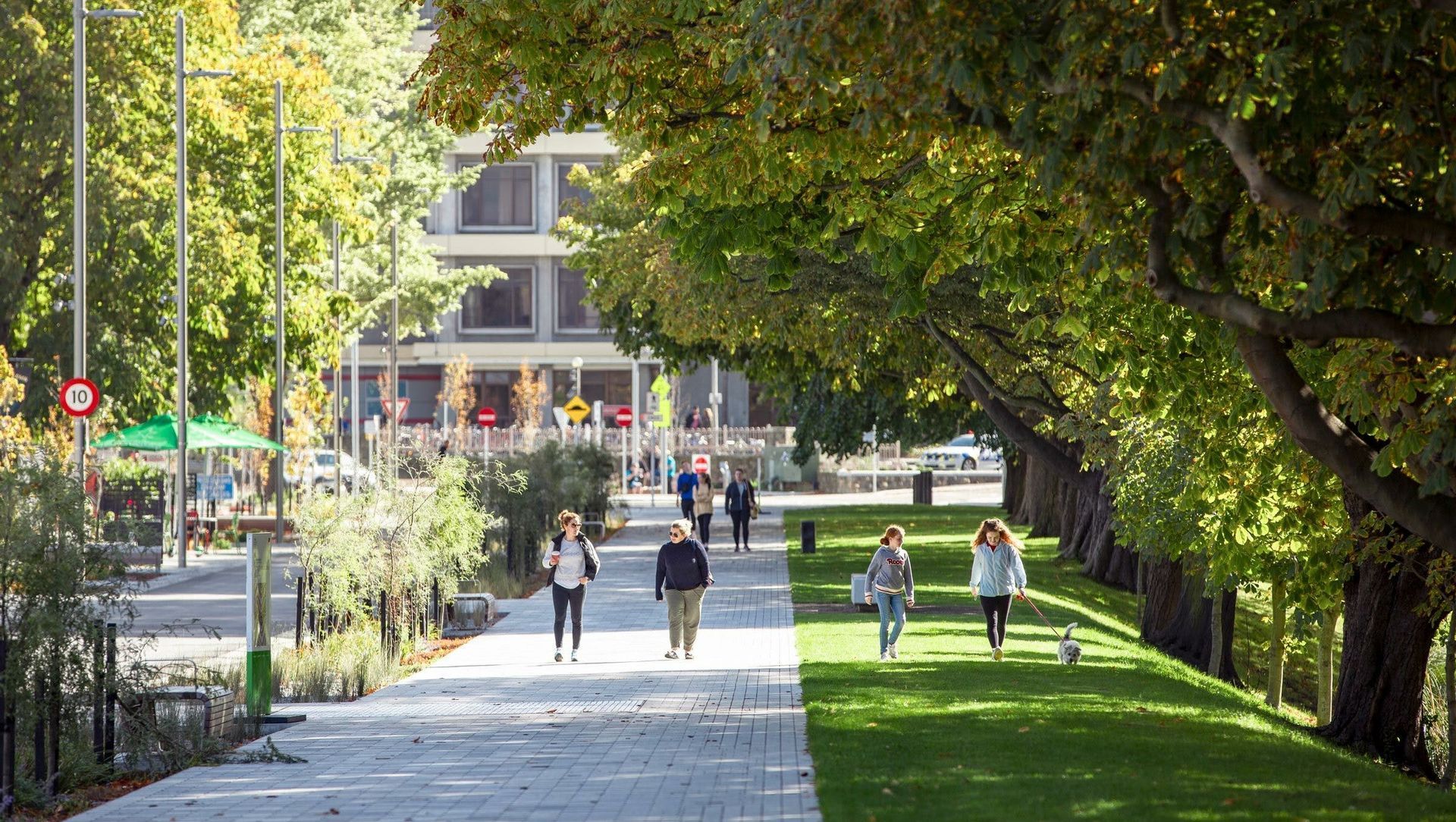 Avon River Precinct banner