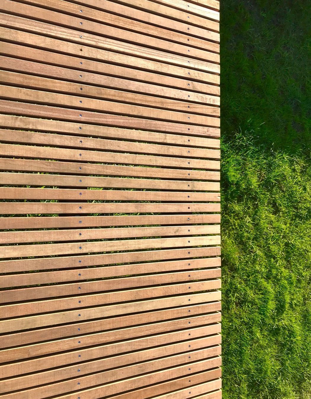 Maungawhau / Mt Eden Boardwalk