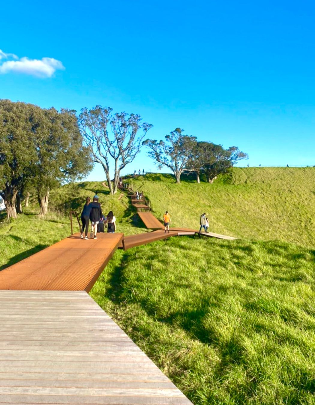 Maungawhau / Mt Eden Boardwalk