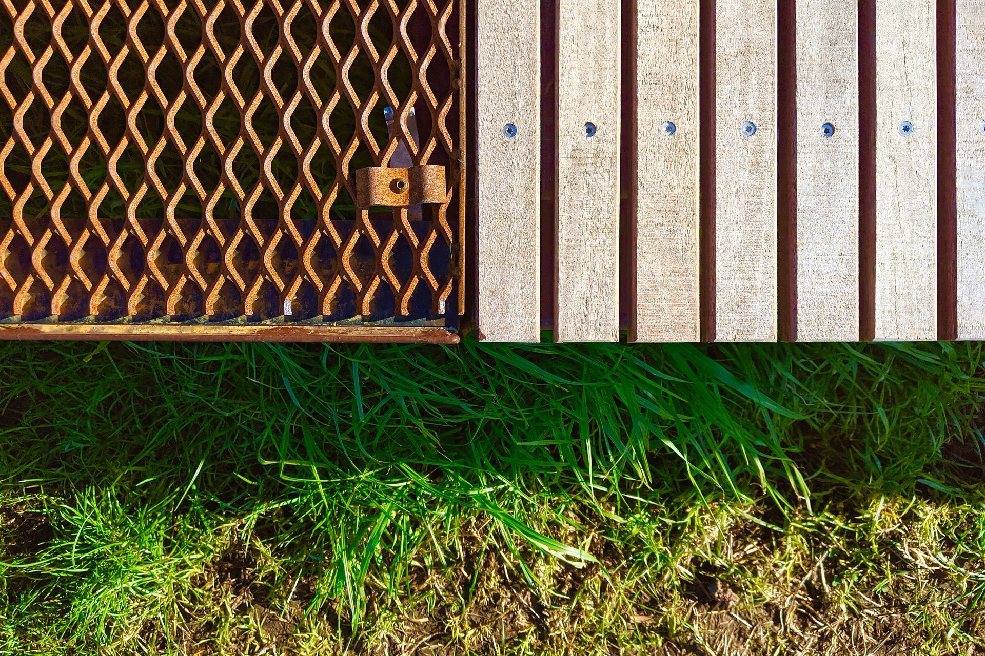Maungawhau / Mt Eden Boardwalk