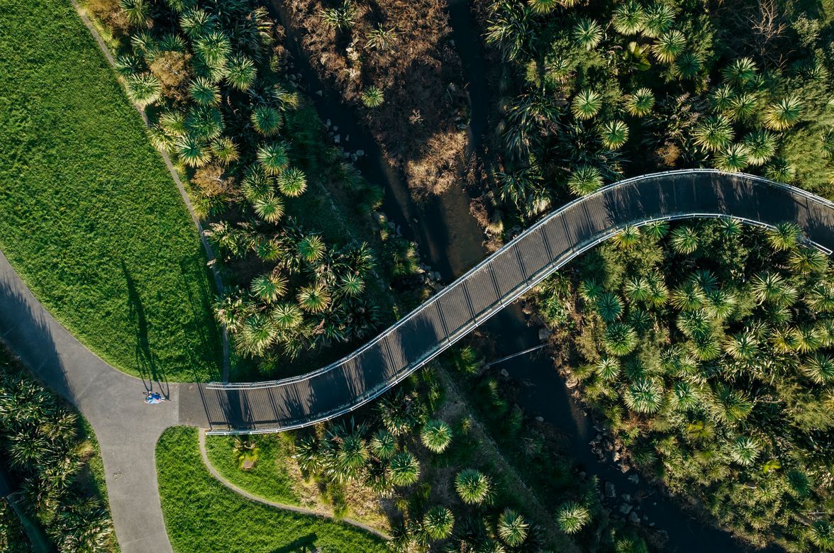 Te Auaunga: Walmsley and Underwood Reserves