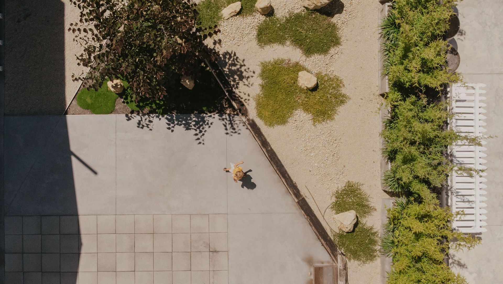 Dnature Project banner