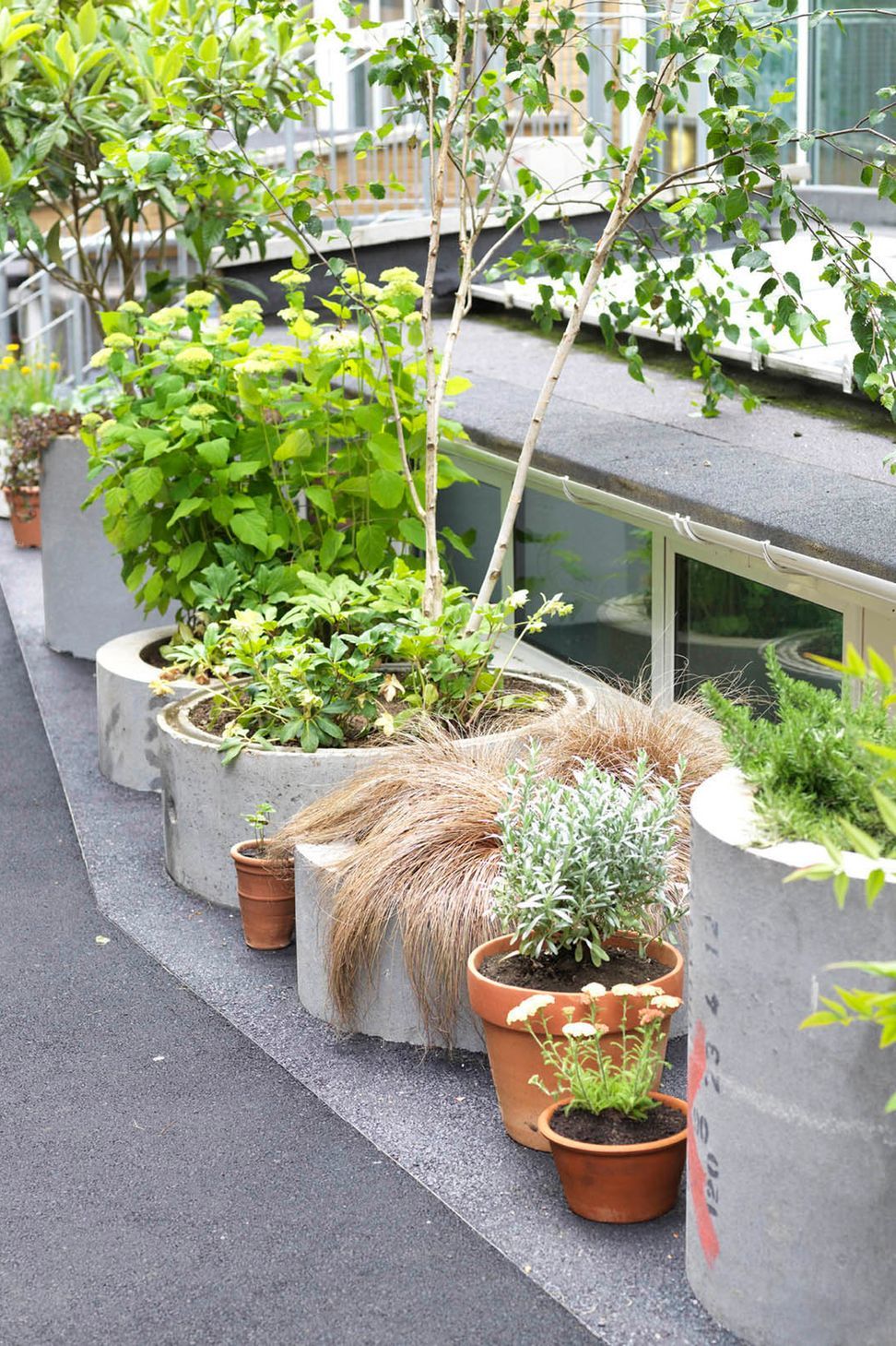 Garden beds implied by pavement paint.