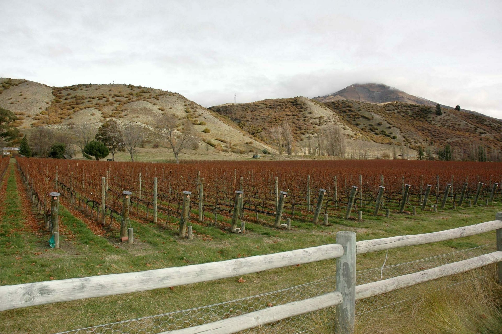 Gibbston Vallery Station