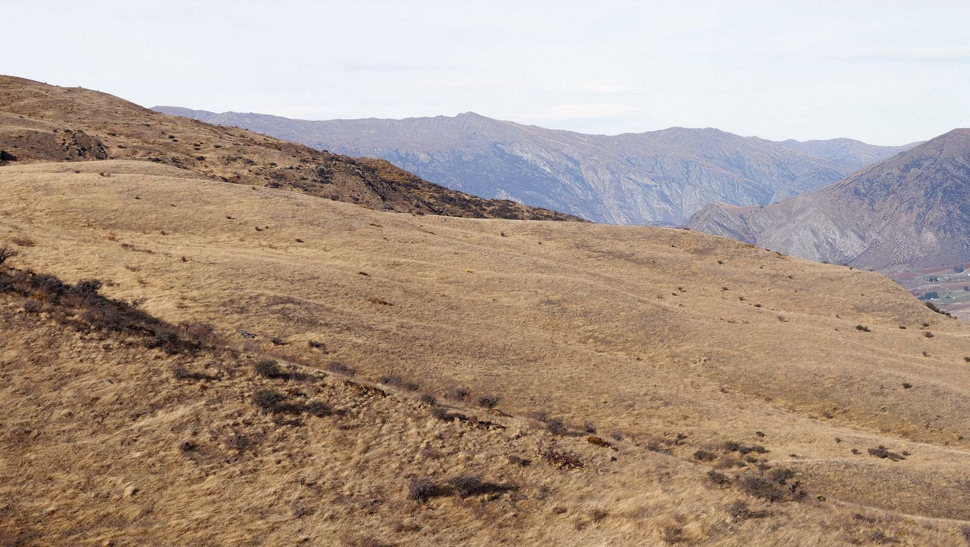 Gibbston Valley Station banner
