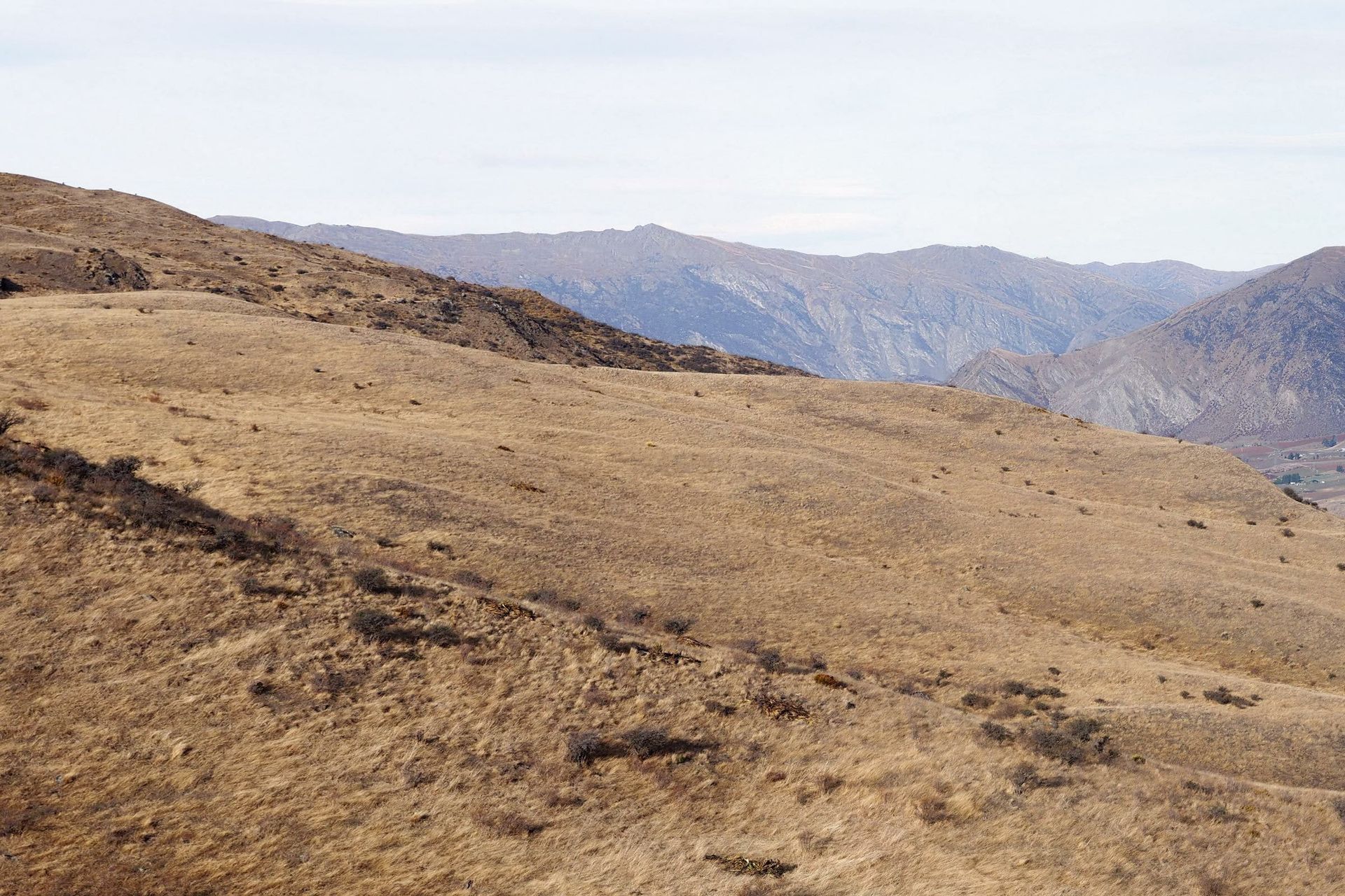 Gibbston Vallery Station