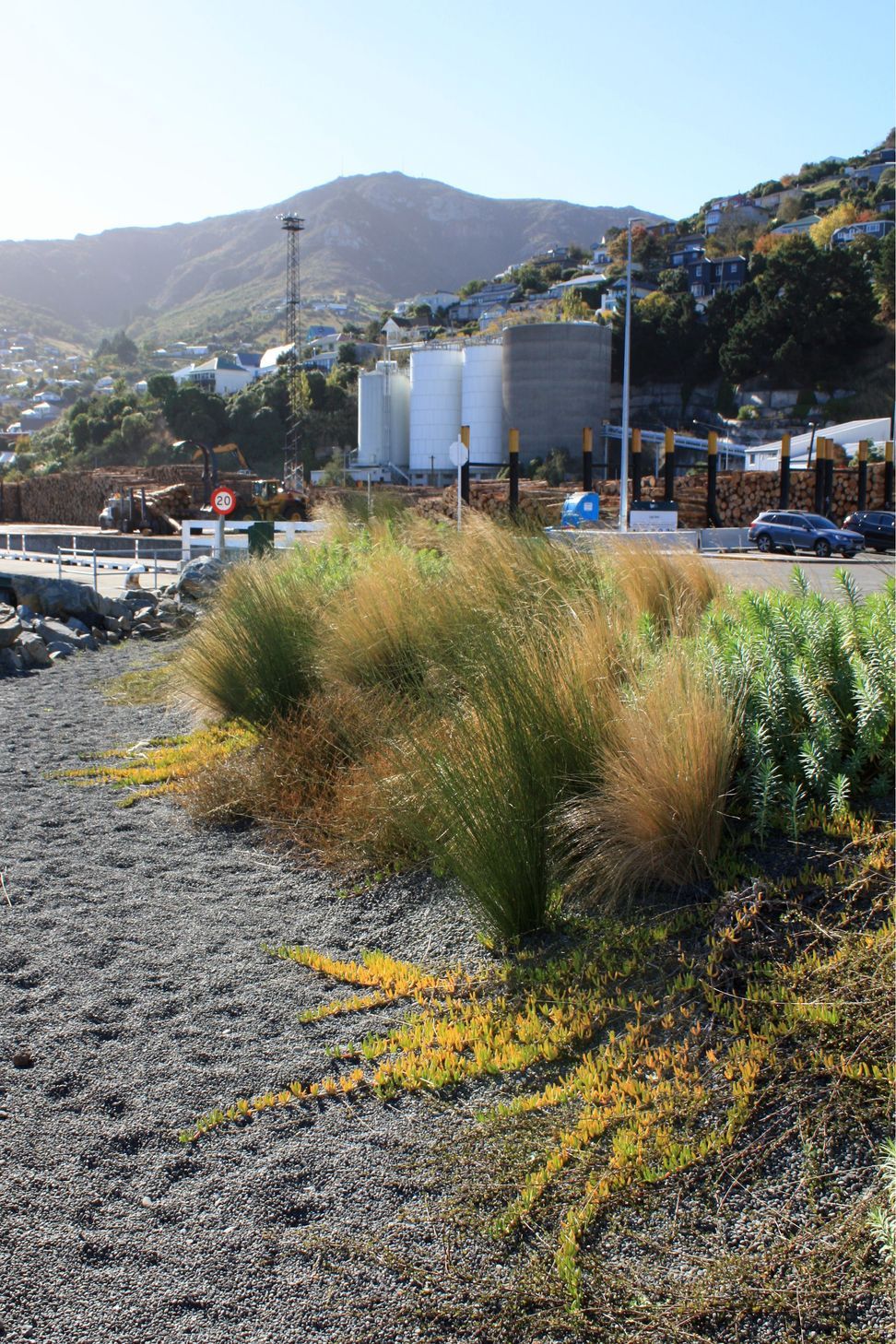 Waterfront House, Lyttelton Port