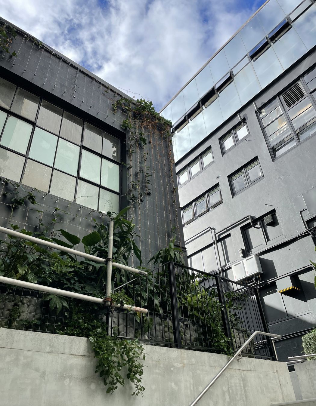 Les Mills Green Wall