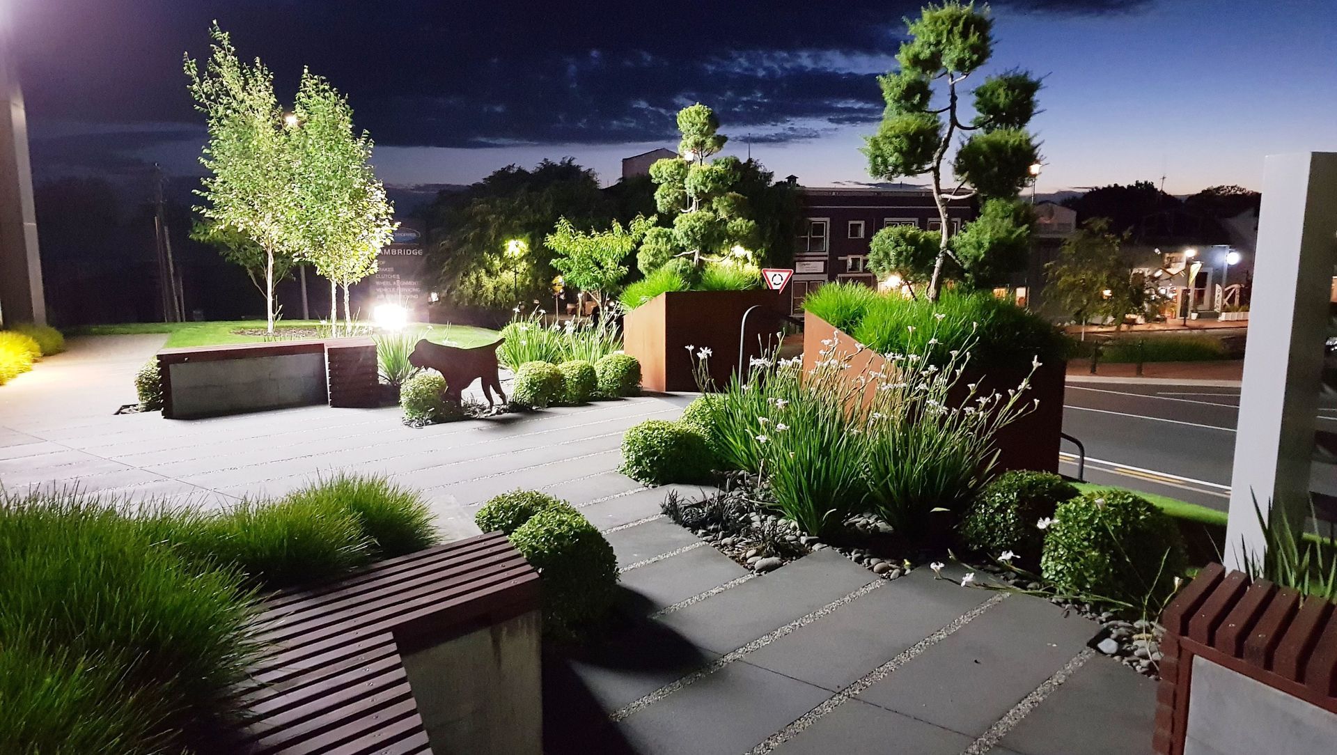 Cambridge Vets banner